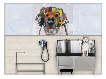 Pet spa